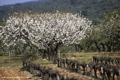 France, Provence, Paysages du Luberon, Luberon Landscapes