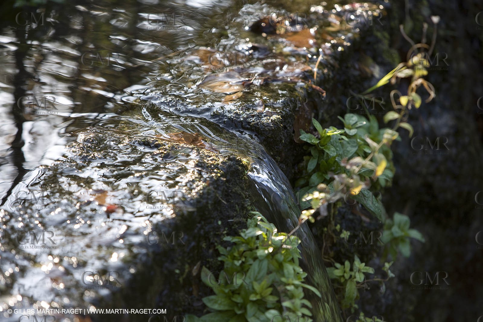 28 10 2007 - St Rémy de Provence (FRA,13) - Chateau des Alpilles