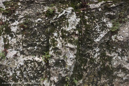 23 10 2012 - Gemenos (FRA) - Parc Départemental de la vallée de Saint Pons