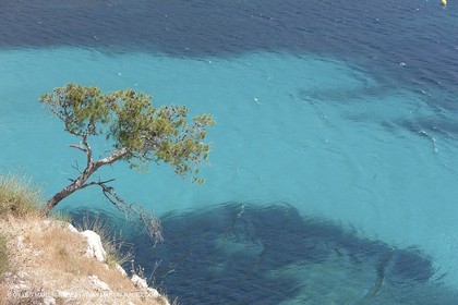 27 05 2009 - Marseille (FRA, 13) - Les Calanques - Sormiou