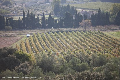 25 09 2009 - Sernhac (FRA,30)