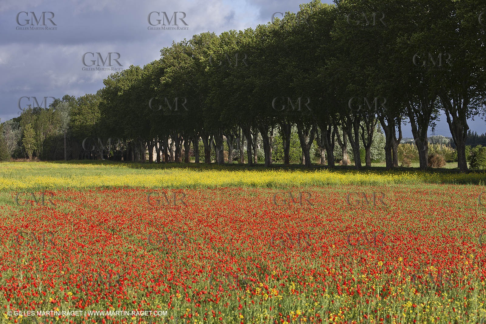 29 04 2012 ( Saint Rémy de Provence (FRA, 13) - Chaîne des Alpilles vers Romanin