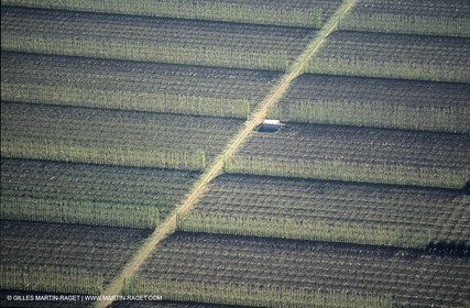 Agriculture near Eguyères