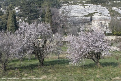 16 02 2008 - Les Baux de Provence (FRA, 13) - Alpilles hills landscapes