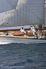 Sailing, Classic yachts, Voiles Vieux Port 2009, Marseille (FRA)