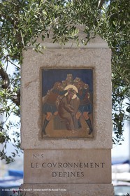 19 07 2009 - Sanary sur mer (FRA,83)