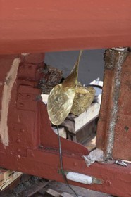 08 11 2014, Capetown (ZAF), Volvo Ocean Race 2014-15, Team Alvimedica, Nursing the boat