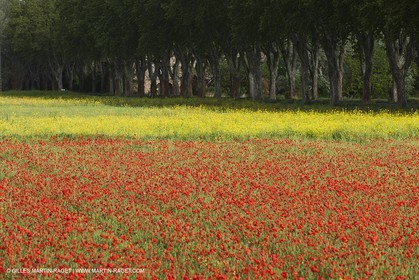 29 04 2012 ( Saint Rémy de Provence (FRA, 13) - Chaîne des Alpilles vers Romanin