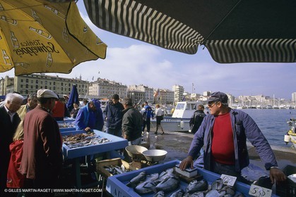 France, Provence, Pêche , Barques, pointus, pêche locale