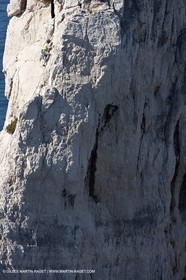 18 04 2009 - Marseille (FRA, 13) - Les Calanques - Arrête Est du rocher des Goudes