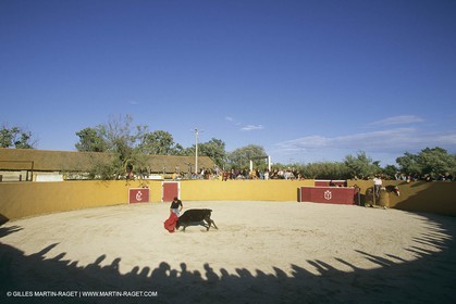 France, Provence, Traditions, tauromachie,