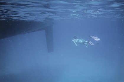 Destinations, Antilles, West Indies, Caribean, Los Roquès