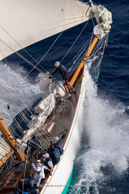 1 10 2024, Saint-Tropez (FRA), Les Voiles de Saint-Tropez 2024, Race Day 2