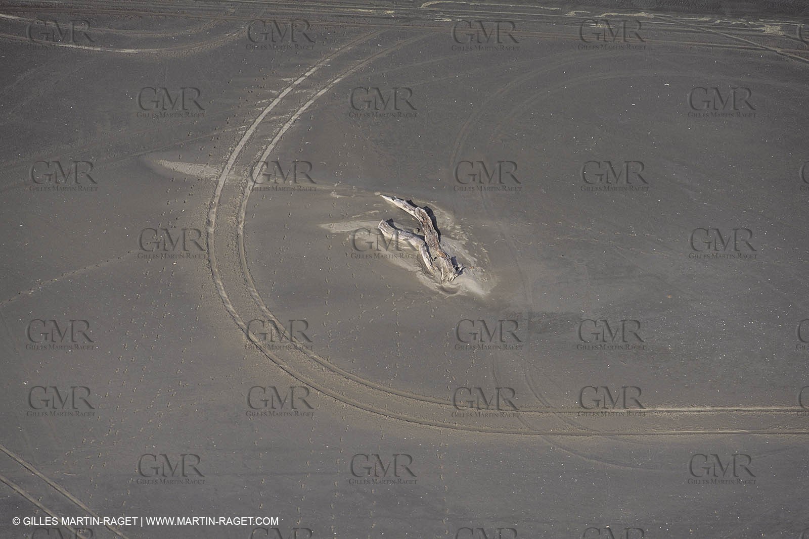 France, Provence, Camargue, Nature, plage, sable