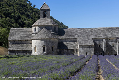 25 06 2018, Gordes (FRA,84), Abbaye de Sénanque