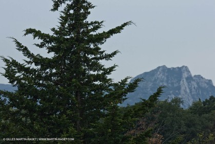 June 24th 2008 - Saint Rémy de Provence (FRA,13) - Alpilles hills landscapes