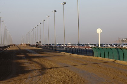 20 11 2010 - Dubai (EAU) - Courses de chameaux