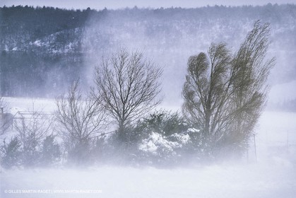 France, Provence, Neige en hiver   Snow in Provence