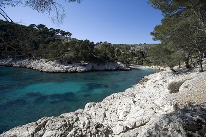 Marseilles - Calanques - Port Pin