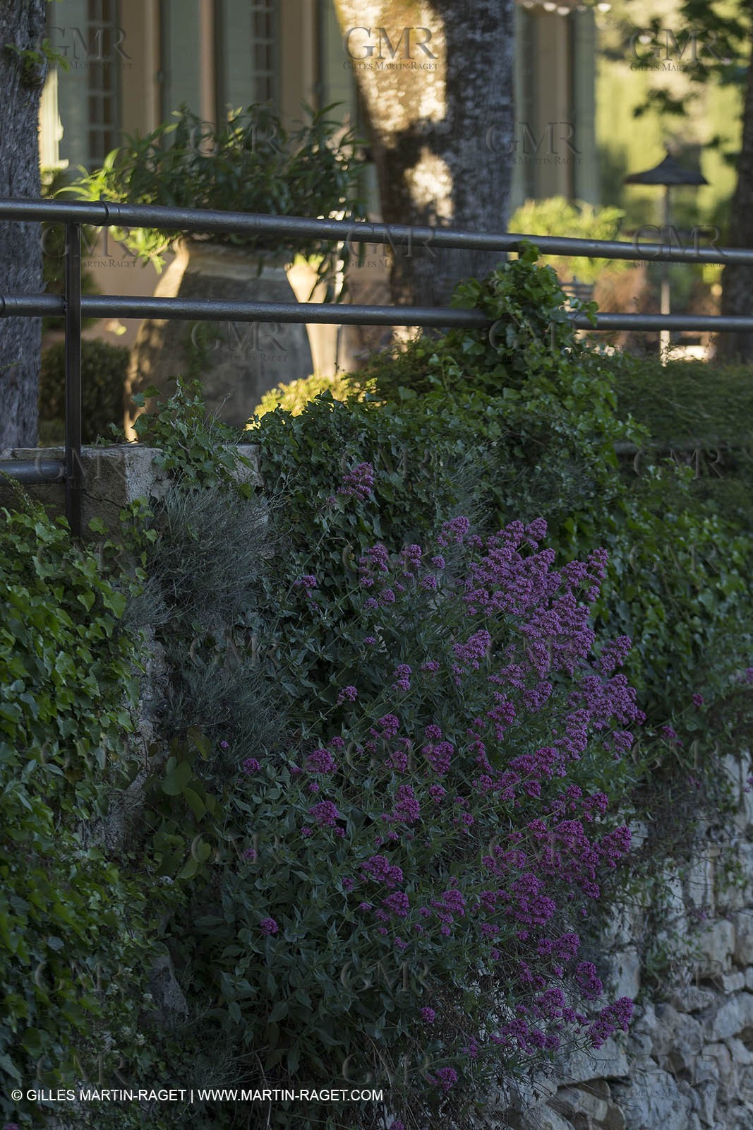 Domaine de la Baume - Tourtour (FRA,83) - 15 05 2014