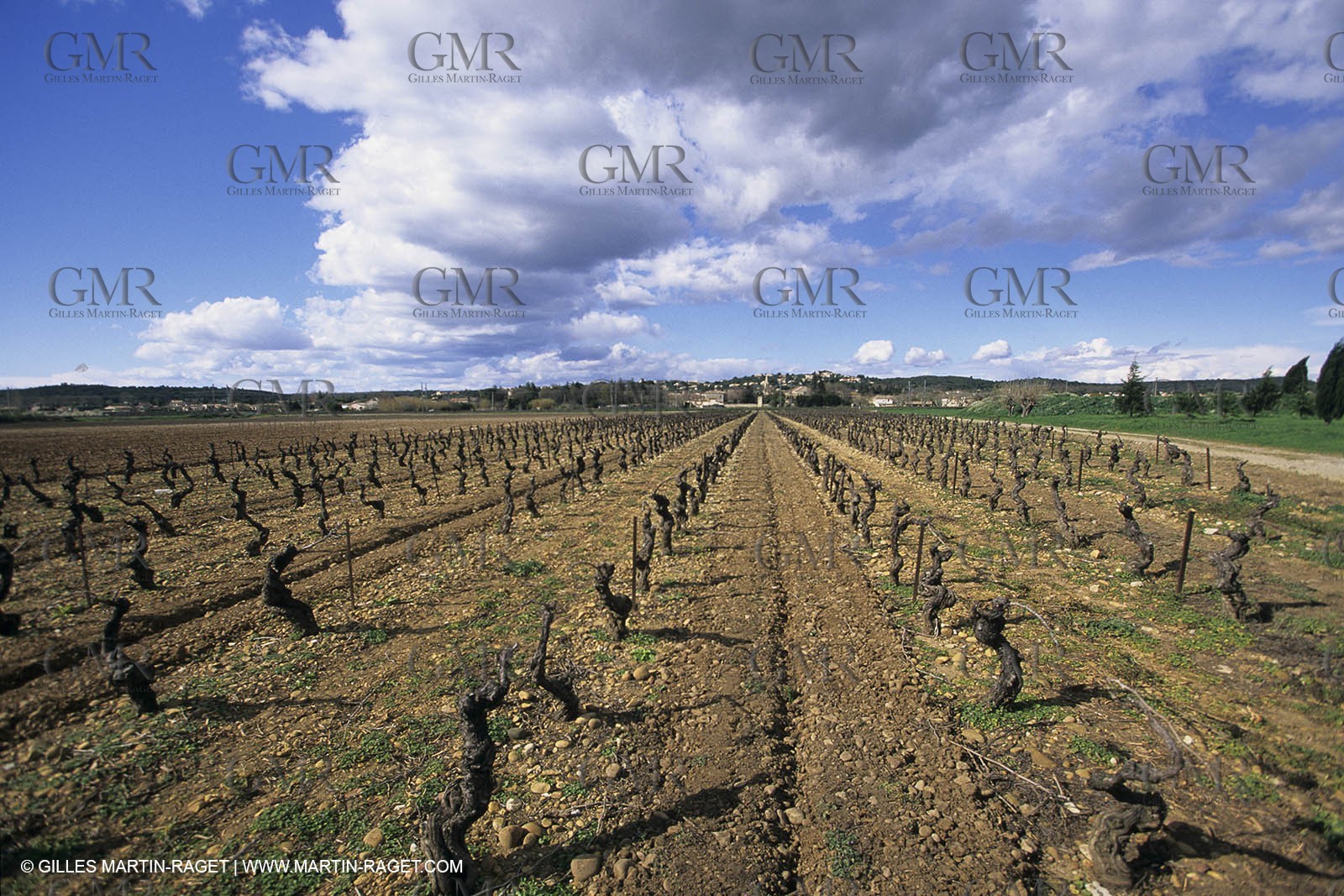 Nimes Metropole landscapes (FRA,30)