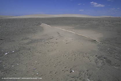 France, Provence, Camargue, Nature, plage, sable