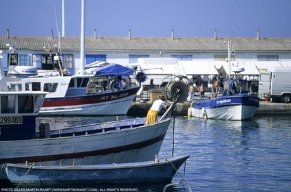 PETITSPORTS0733.jpg