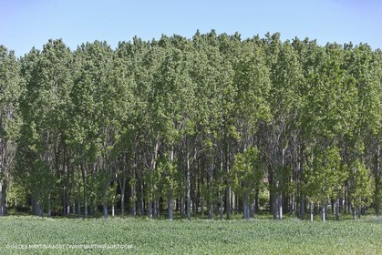 28 04 2009 - Russan - Commune de Ste Anastasie (FRA, 30) - Atlas Nîmes Métropole - campagne 2009
