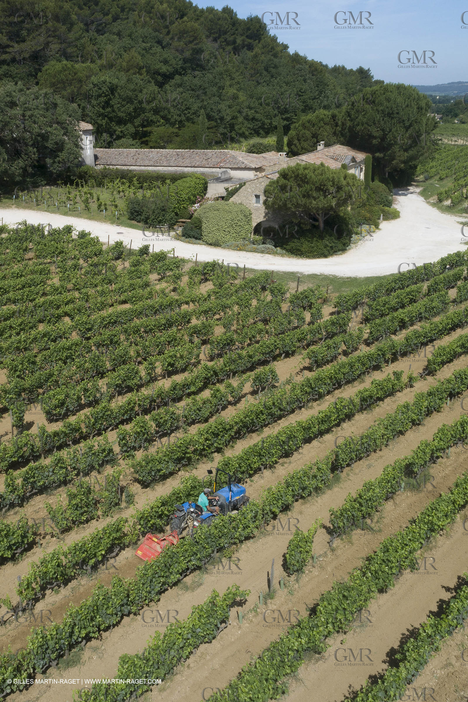 22 06 2018, Ménerbes (FRA,84), Domaine de la Citadelle