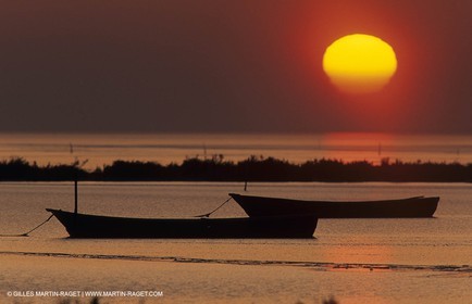Camargue (FRA,13) - Gardians