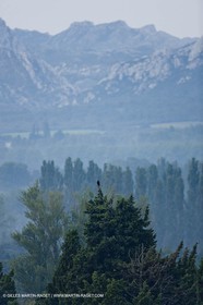 June 24th 2008 - Saint Rémy de Provence (FRA,13) - Alpilles hills landscapes