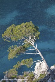 03 05 2009 - Marseille (FRA, 13) - Les Calanques - En Vau