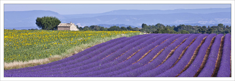 Produit : Tirage photo réalisé par nos soins sur imprimante jet d'encre professionnelle Epson à partir de 8 encres ultrachrome inaltérables (label Digigraphie).Formats au choix :. 20 x 60 cm. 33 x 95 cm- 52 x 150 cmChoix des papiers :. Papier standard brillant 250 gr., filet noir, marge blanche, tirage non signé. Papier haut de gamme satiné 290 gr. filet noir, marge blanche, tirage vérifié et signé par l'auteur.. Autres supports (canvas, acrylique, dibond) sur demandeConditionnement : tube cylindrique renforcé.Options pour l'expédition : . colissimo + dépôt boîte aux lettres (France uniquement). Colissimo avec signature à réception. Transporteur express (2 jours ouvrés) avec signature à réceptionCliquez sur caddie pour sélectionner votre formule et démarrer la procédure de commande en ligne