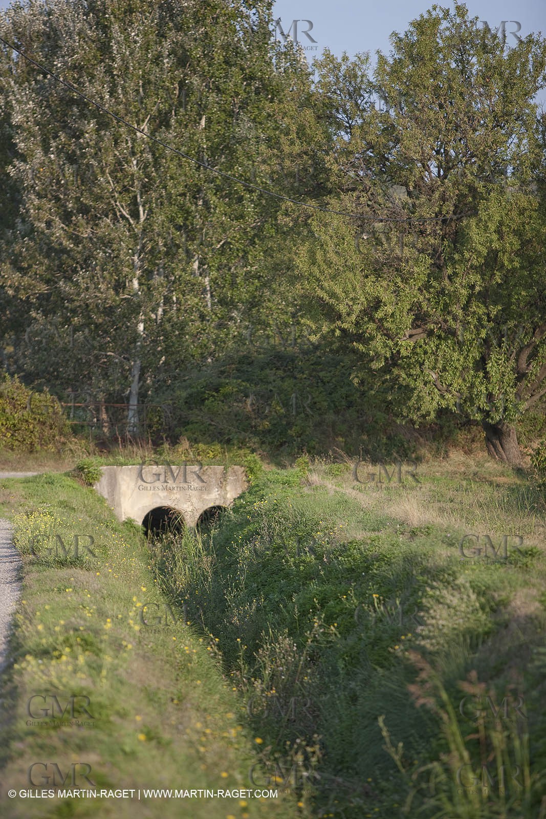 25 09 2009 - Sernhac (FRA,30)