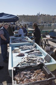 07 03 2014 - Marseille (FRA,13) - Vieux Port (Historical port)