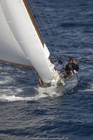 18VSTD5_7993.jpg