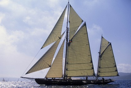 Black Swan - Classic yacht