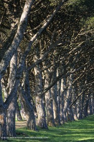 Paysages de Nîmes Métropole (FRA,30) - Les costières