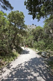 03 05 2009 - Marseille (FRA, 13) - Les Calanques - En Vau - Vallon d' En vau