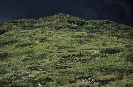 Patagonia