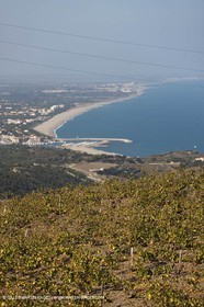 17 10 2011 - Côte Vermeille (FRA, 66) - Argelès Plage