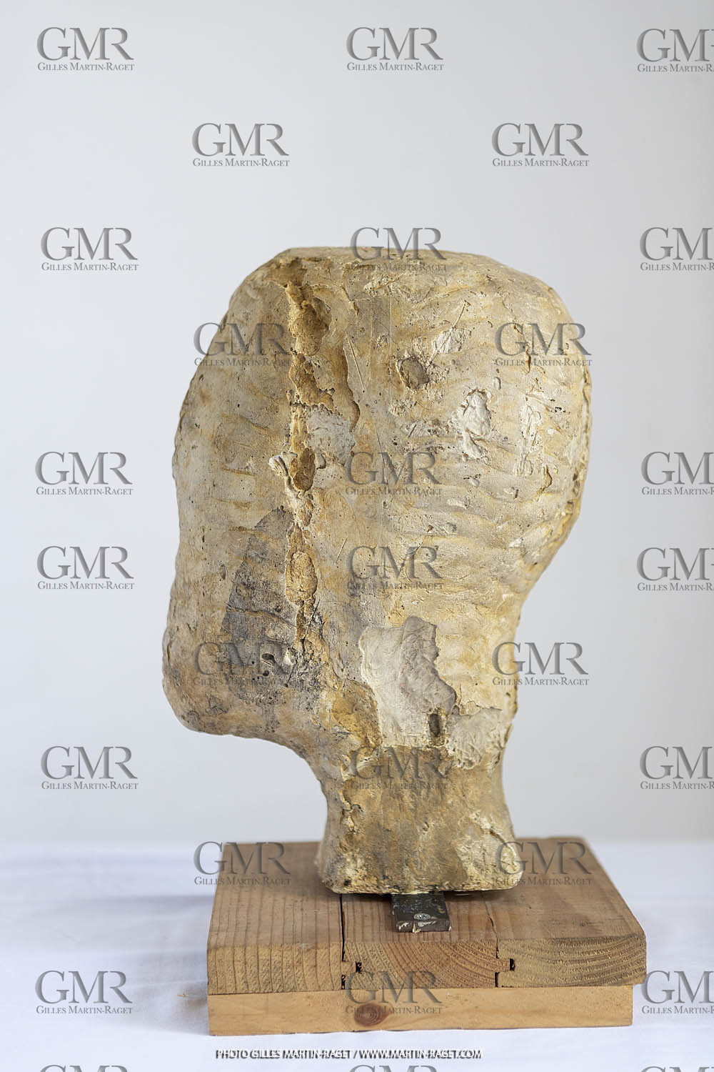 Oeuvre Germaine Richier, Plâtre buste n° 12, dit 'Le Tatou , 1934