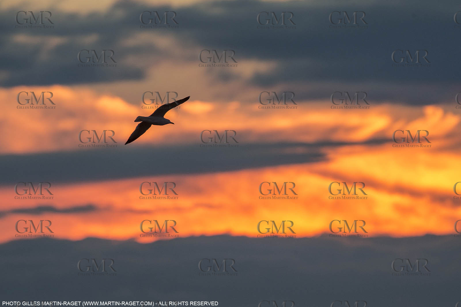 28 01 2016, Sète (FRA,34), Cruising on Thau Basin