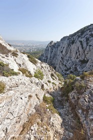 10 09 2009 - Marseille (FRA, 13) - Les Calanques - Massif de Marseilleveyre - Vallon des Aiguilles