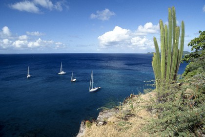 GMR_000050.jpg