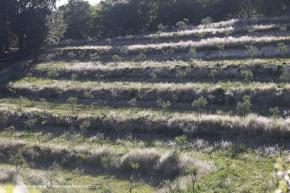 Domaine de la Baume - Tourtour (FRA,83) - 15 05 2014