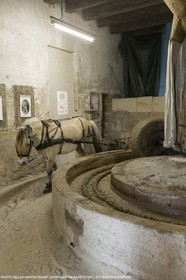 14 11 2015, Saint-Etienne du Grès (FRA,13), fabrication traditionelle de l'huile d'olive au moulin de la Croix