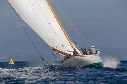 VST21D6_1344.jpg