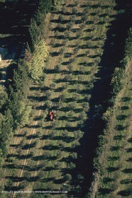 France, south, Alpilles landscapes