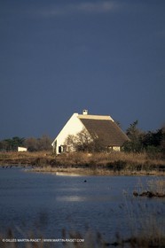 Camargue (FRA,13) - Gardians